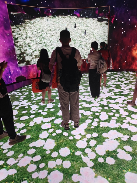 金蝶小游戏其三——天外天垓放映厅（召唤aibo）