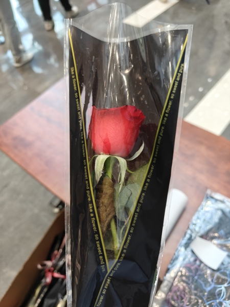 可能是因为星空花宴的主题，送了一支玫瑰花